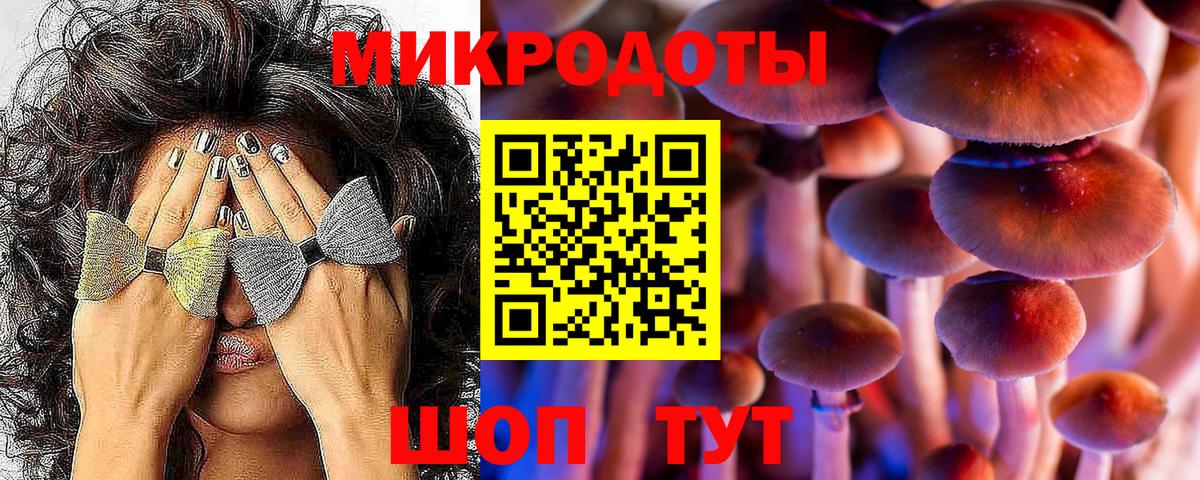 Псилоцибиновые грибы мицелий Мытищи